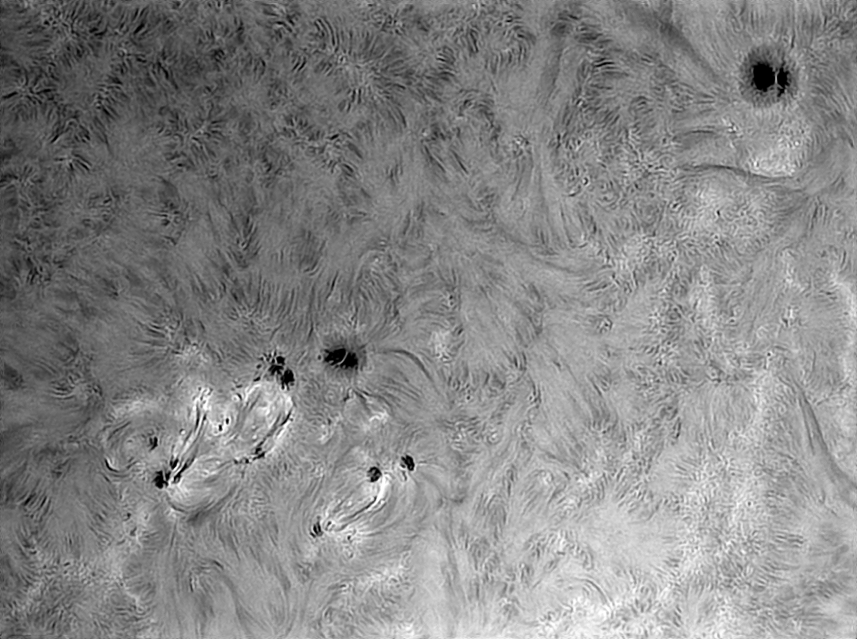 2025 09 29T13 42 56