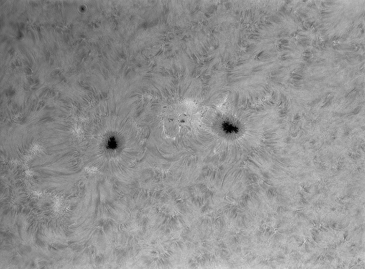 2026 05 27T13 52 33 44