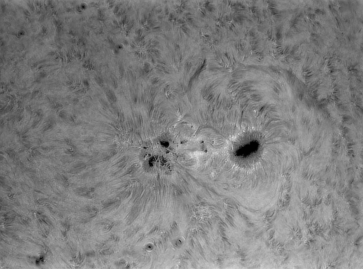 2026 07 24T14 49 25