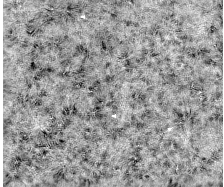 20210905 153809 22 b